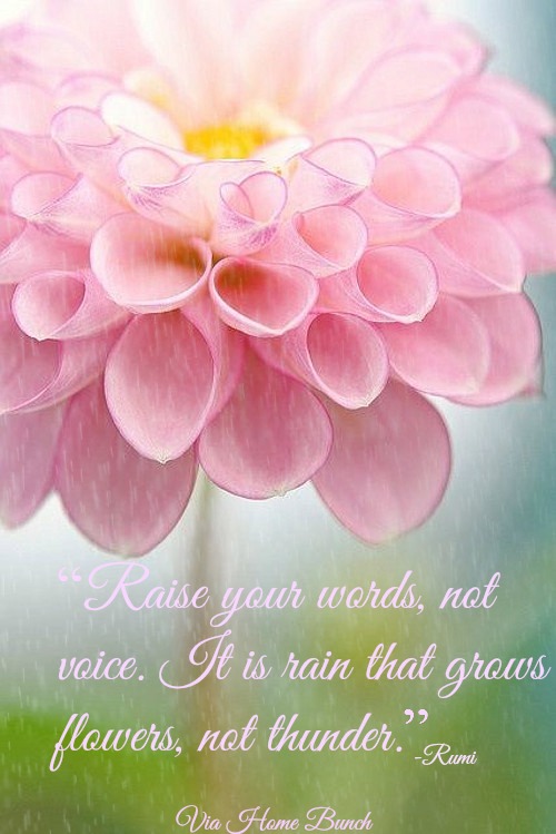 Quotes. “Raise your words, not your voice. It is rain that grows flowers, not thunder.” #Quotes