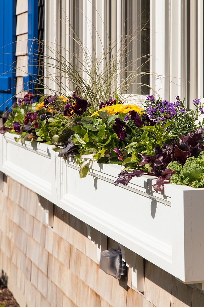 Window Box White window box wih blue shutters #windowbox #Whitewindowbox