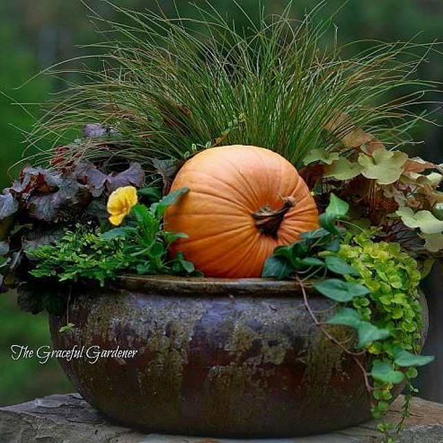 Outdoor Fall Decor Ideas. Decorating Your Garden With Pumpkins. #FallDecor Via Home Talk.