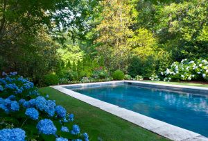 Find the Right Pool for Your Yard - Home Bunch Interior Design Ideas