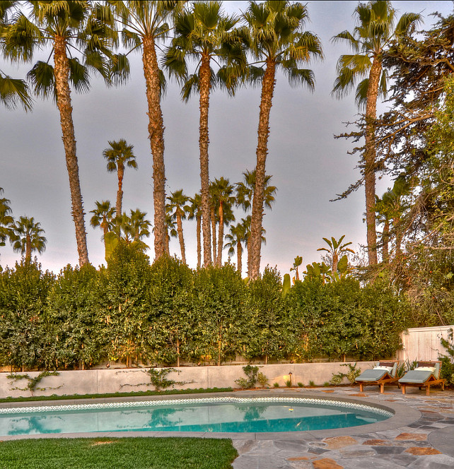 Backyard Ideas. Who needs a vacation with a backyard like this. #Backyard