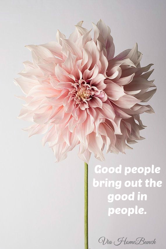 Good People Bring Out the Good in People. #Quotes
