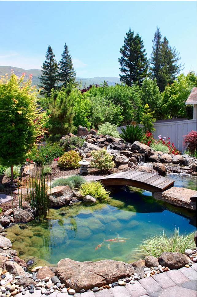 Koi Pond. Koi Pond Garden Ideas. Ami Saunders, MLA.