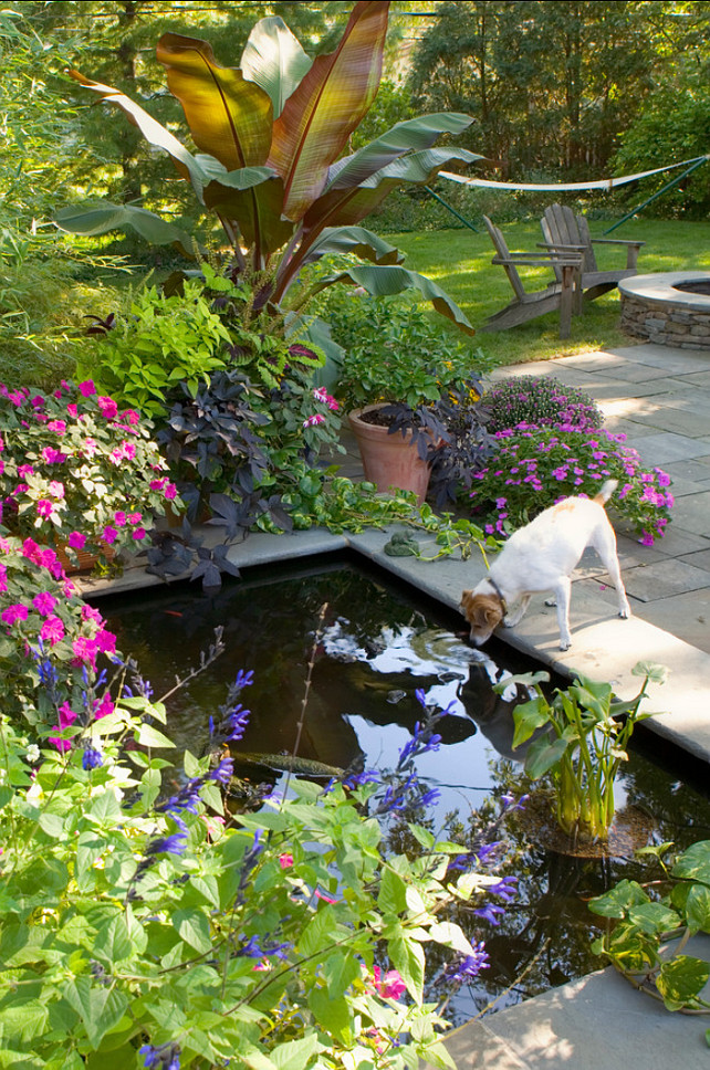 Pond. Backyard with pond. Hursthouse Landscape Architects and Contractors.